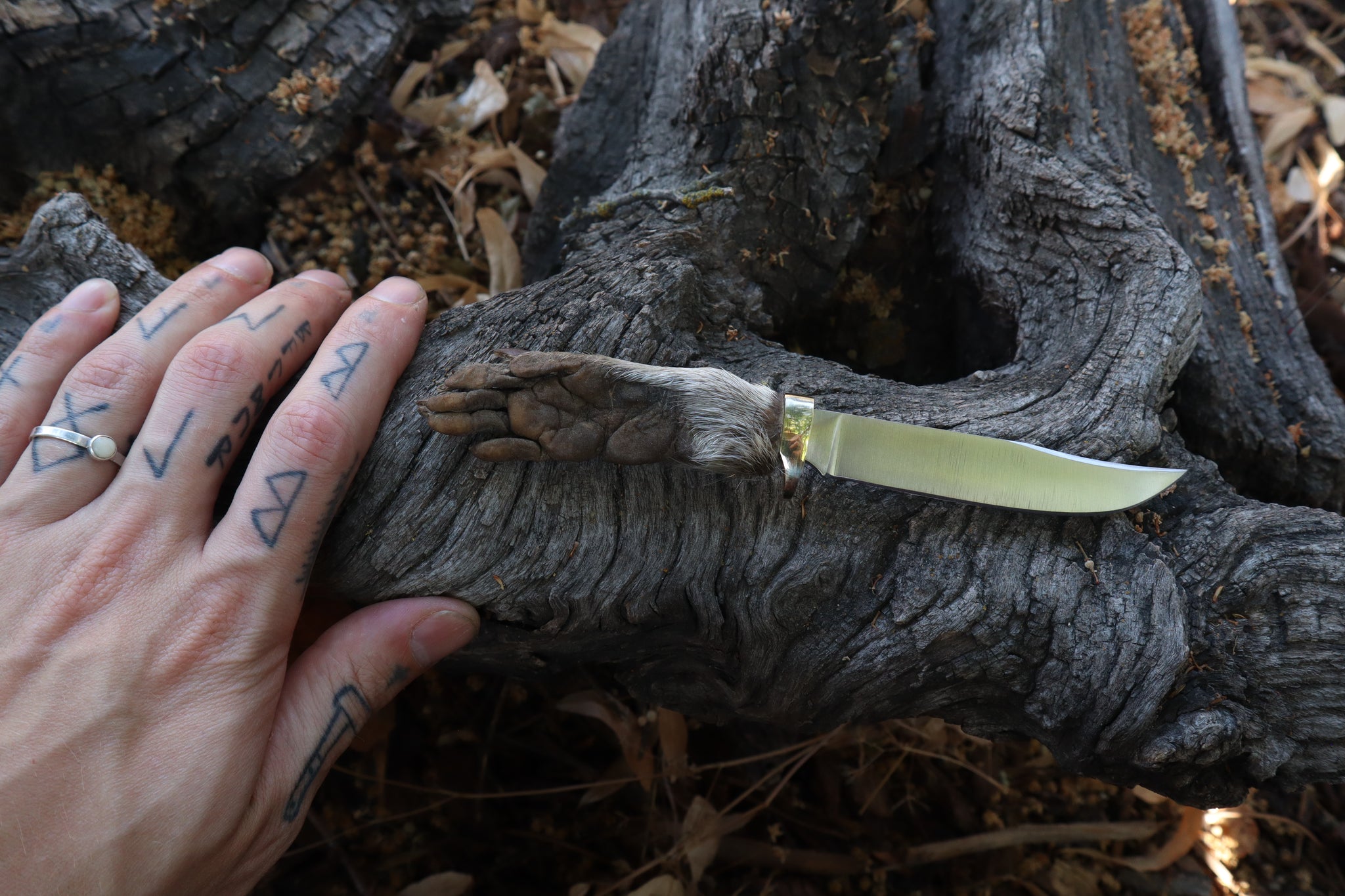 Raccoon Paw Knife