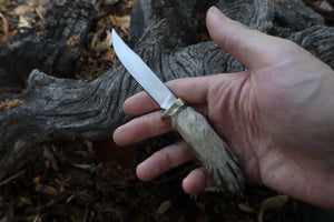 Raccoon Paw Knife