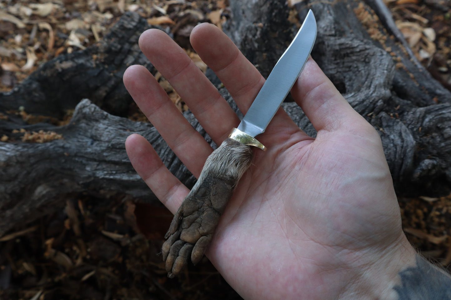 Raccoon Paw Knife