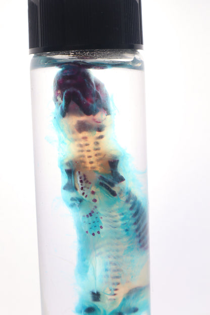 Diaphonized Fetal Skunk