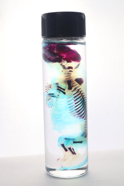 Diaphonized Fetal Skunk