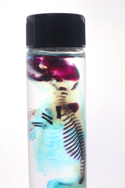 Diaphonized Fetal Skunk