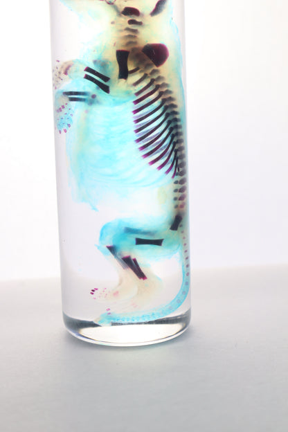 Diaphonized Fetal Skunk