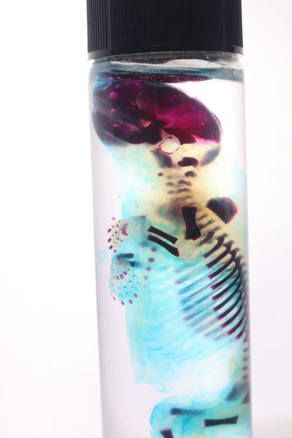 Diaphonized Fetal Skunk