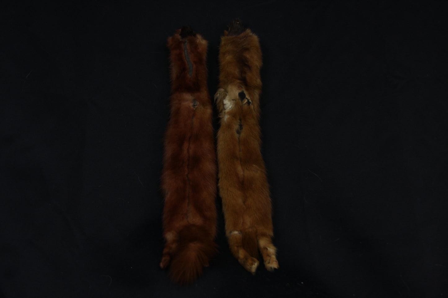 Mink Pelts