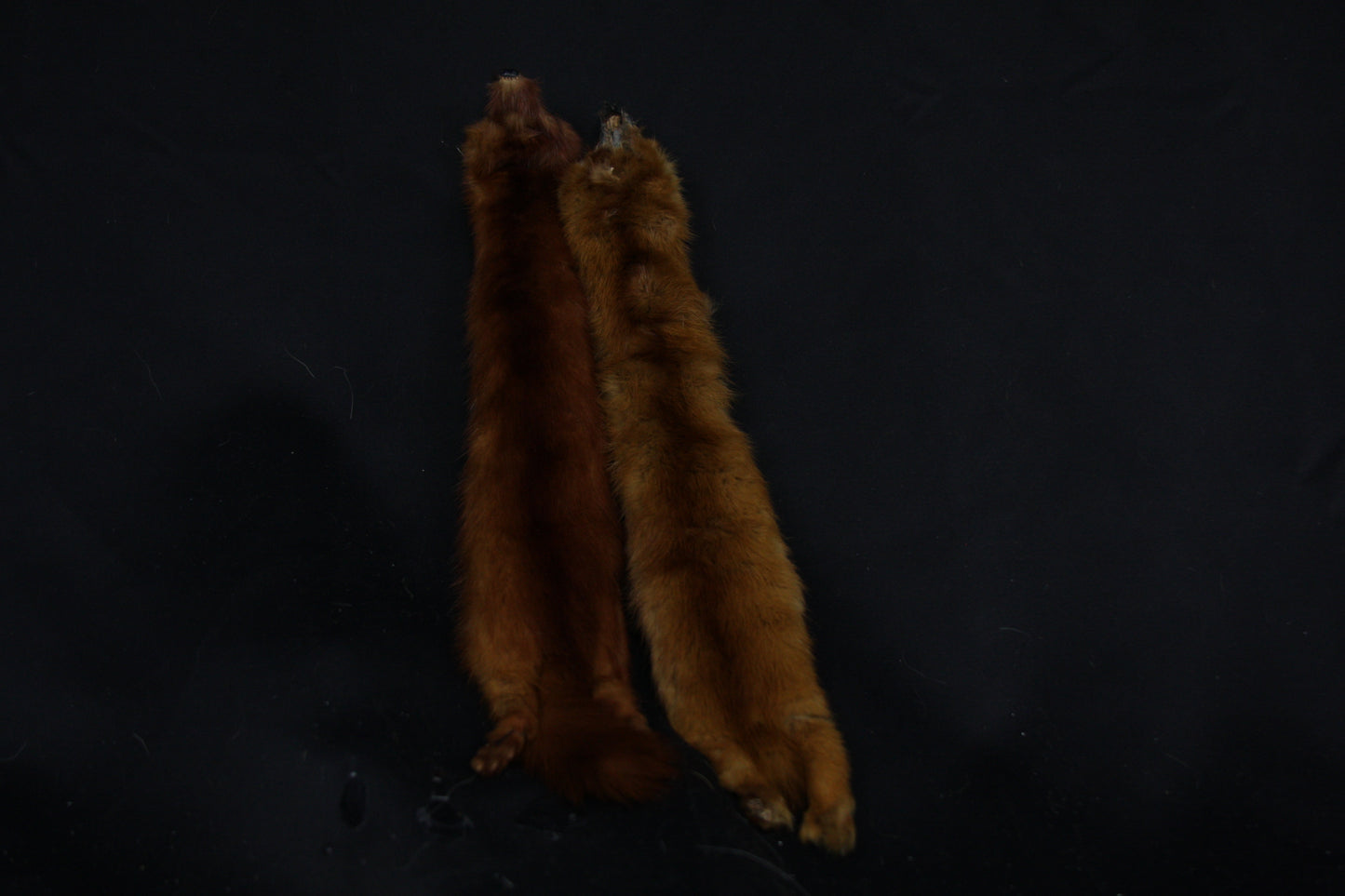 Mink Pelts