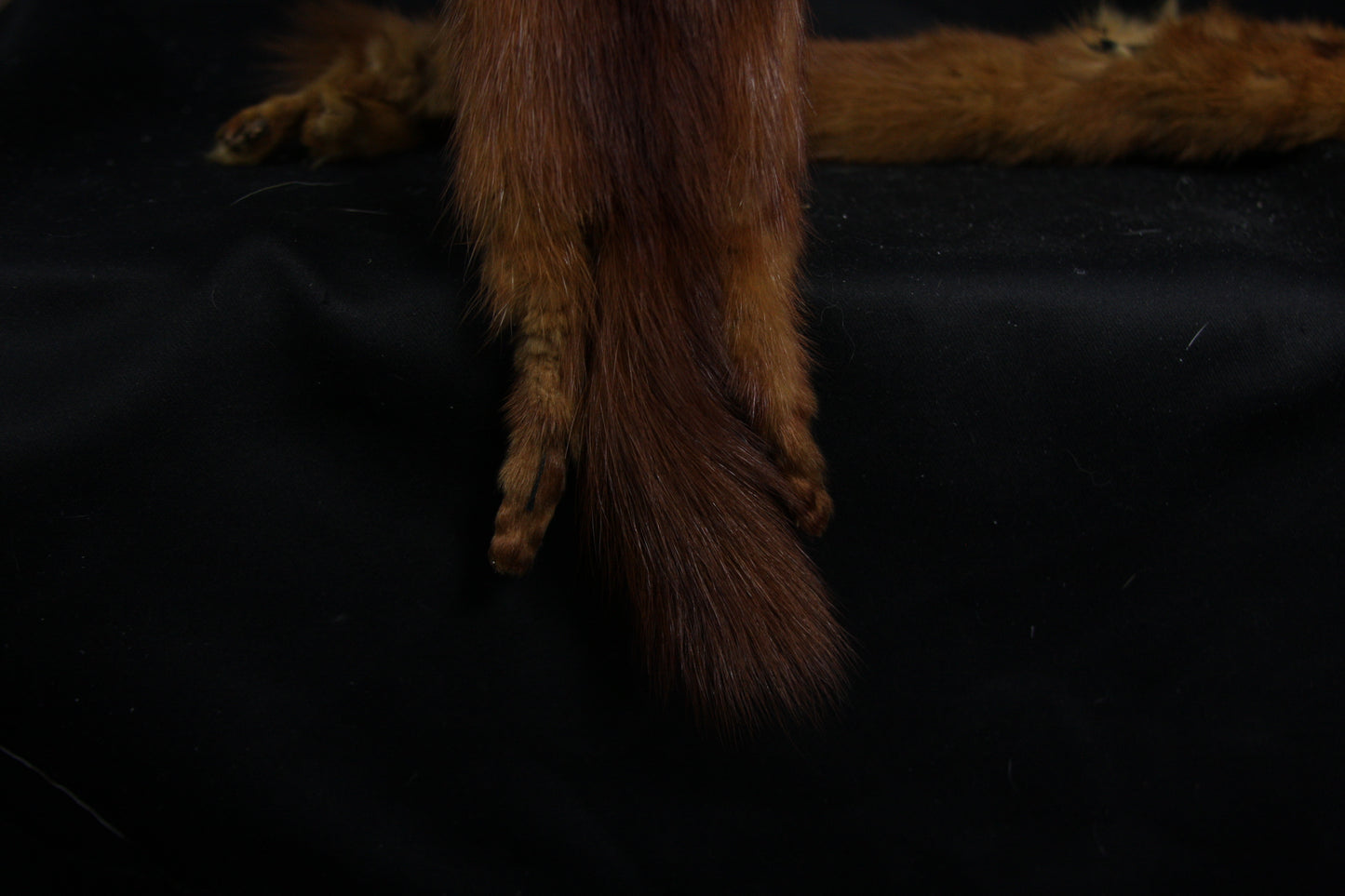 Mink Pelts