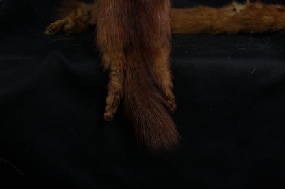 Mink Pelts