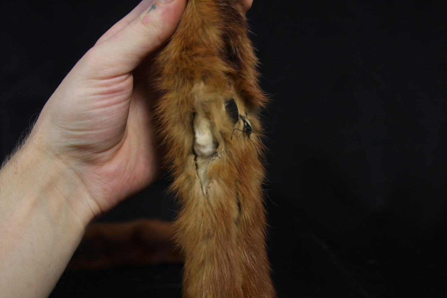 Mink Pelts