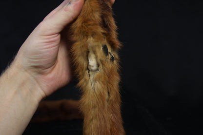 Mink Pelts
