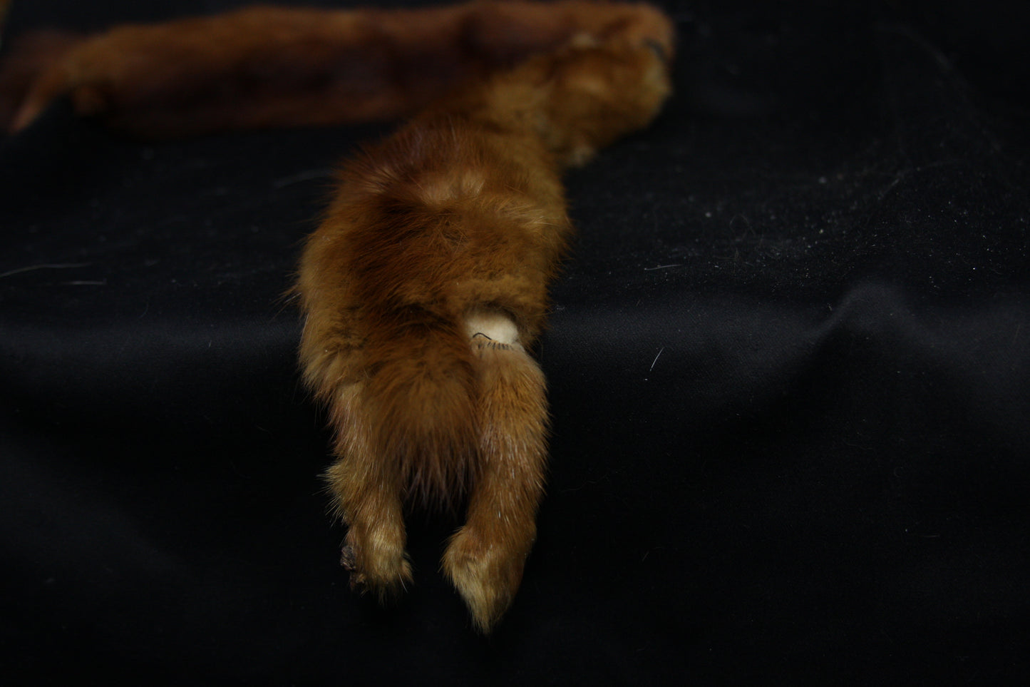 Mink Pelts