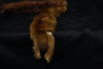 Mink Pelts