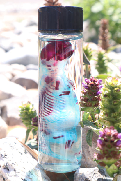 Diaphonized Fetal Skunk