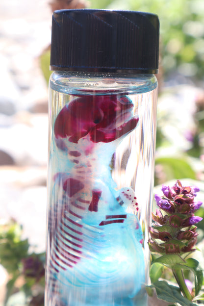 Diaphonized Fetal Skunk