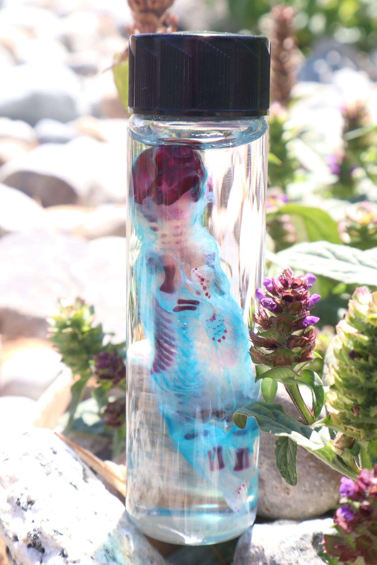 Diaphonized Fetal Skunk