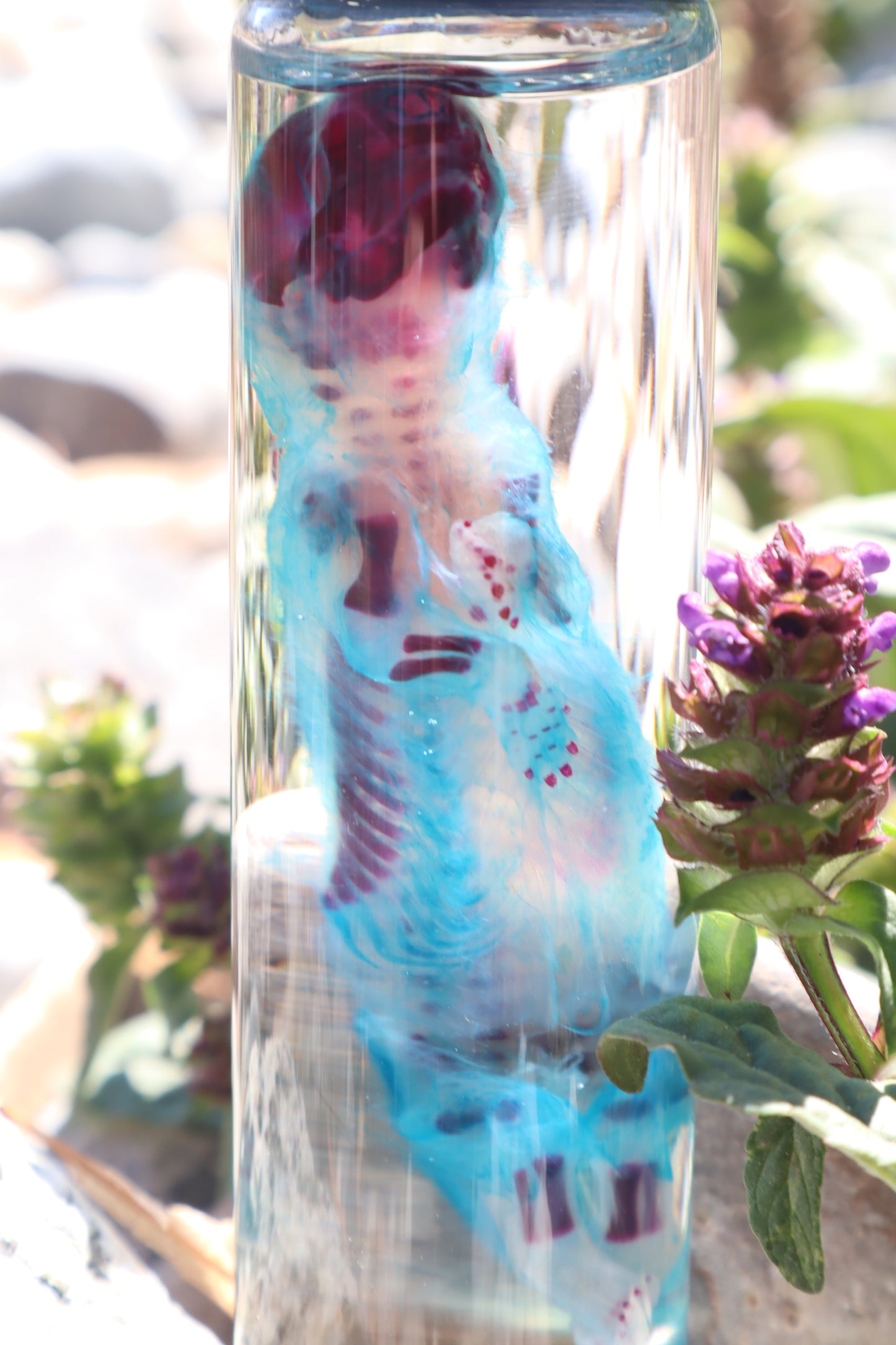 Diaphonized Fetal Skunk