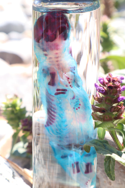 Diaphonized Fetal Skunk