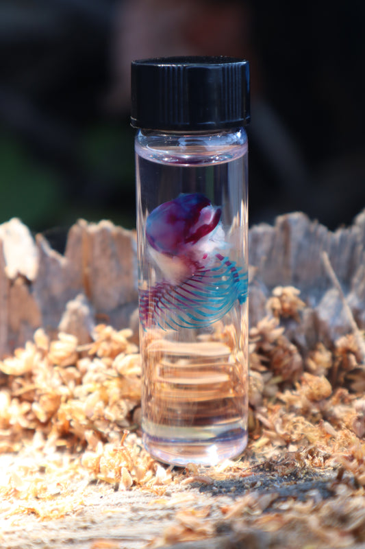 Diaphonized Baby Mouse Torso