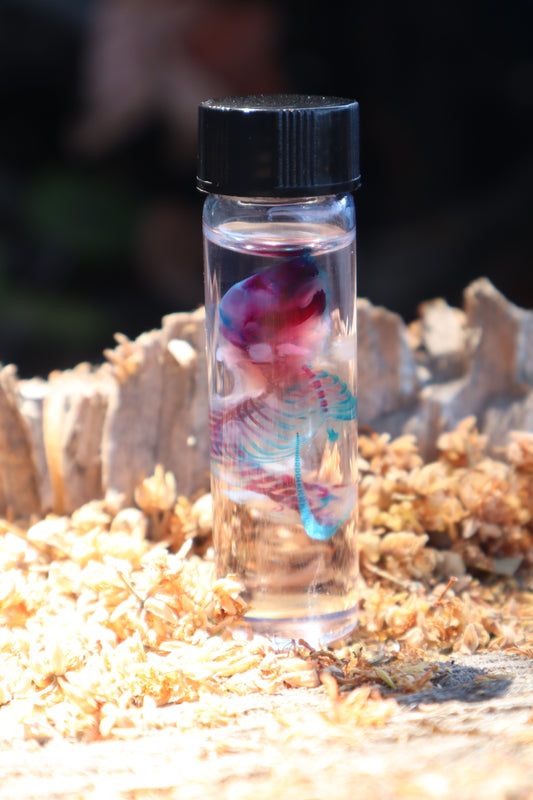 Diaphonized Baby Mouse Serpent