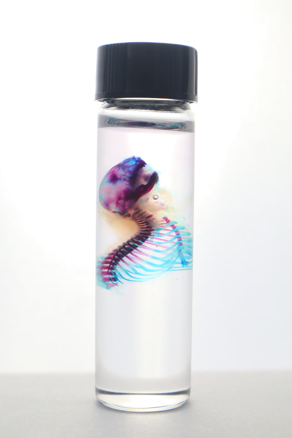 Diaphonized Baby Mouse Torso
