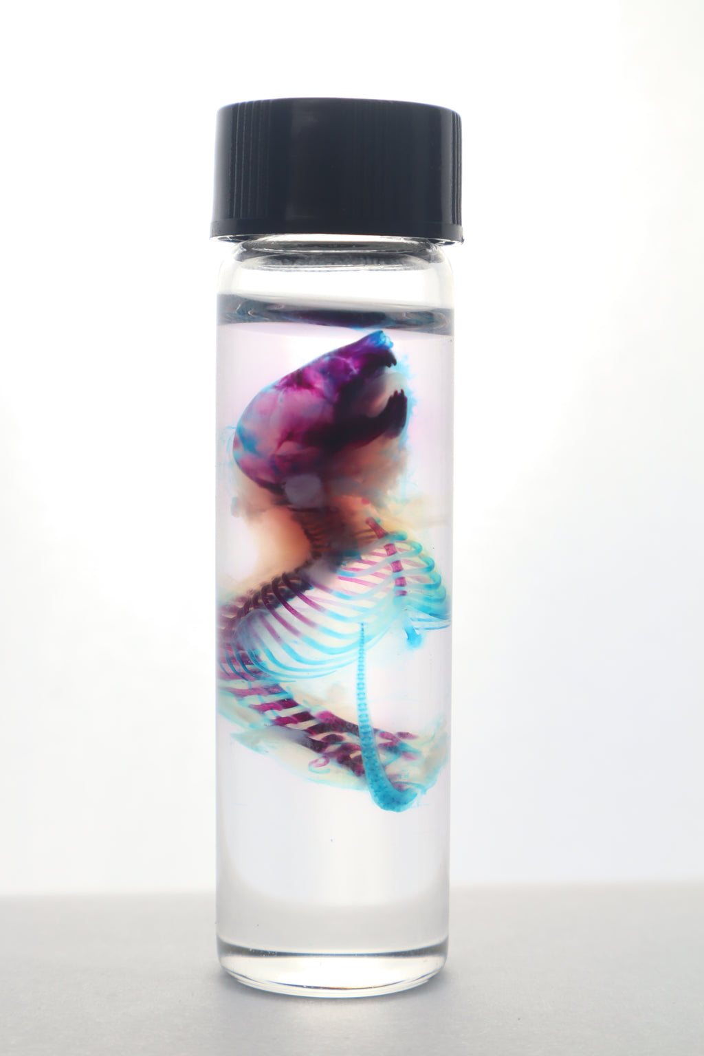 Diaphonized Baby Mouse Serpent