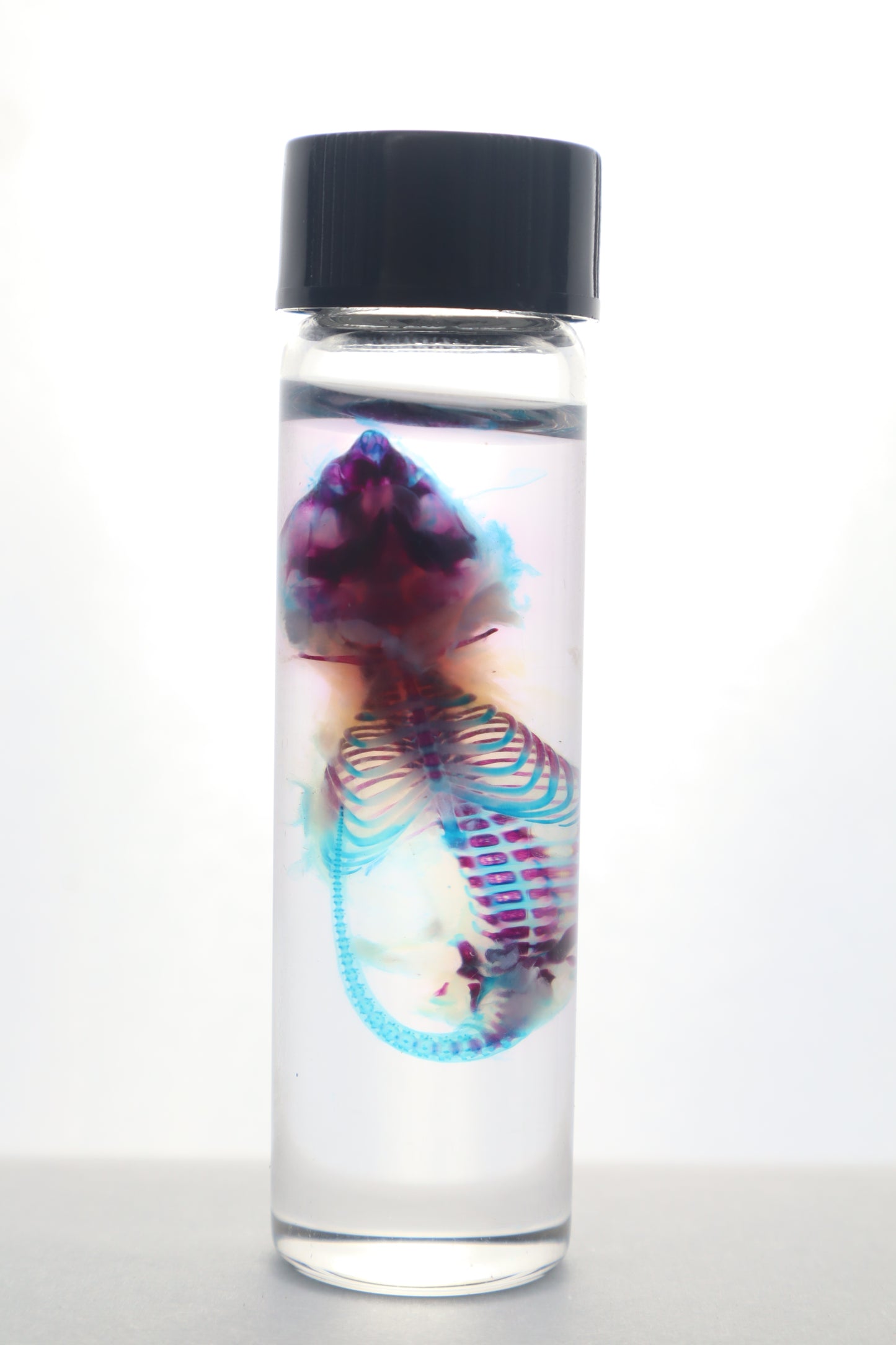 Diaphonized Baby Mouse Serpent