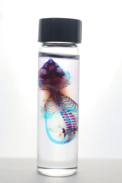 Diaphonized Baby Mouse Serpent