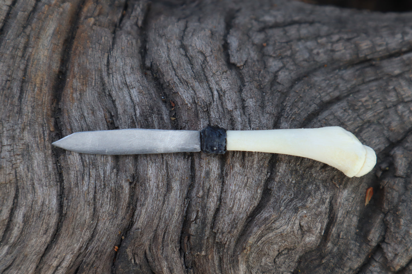 Kitten Tibia Knife
