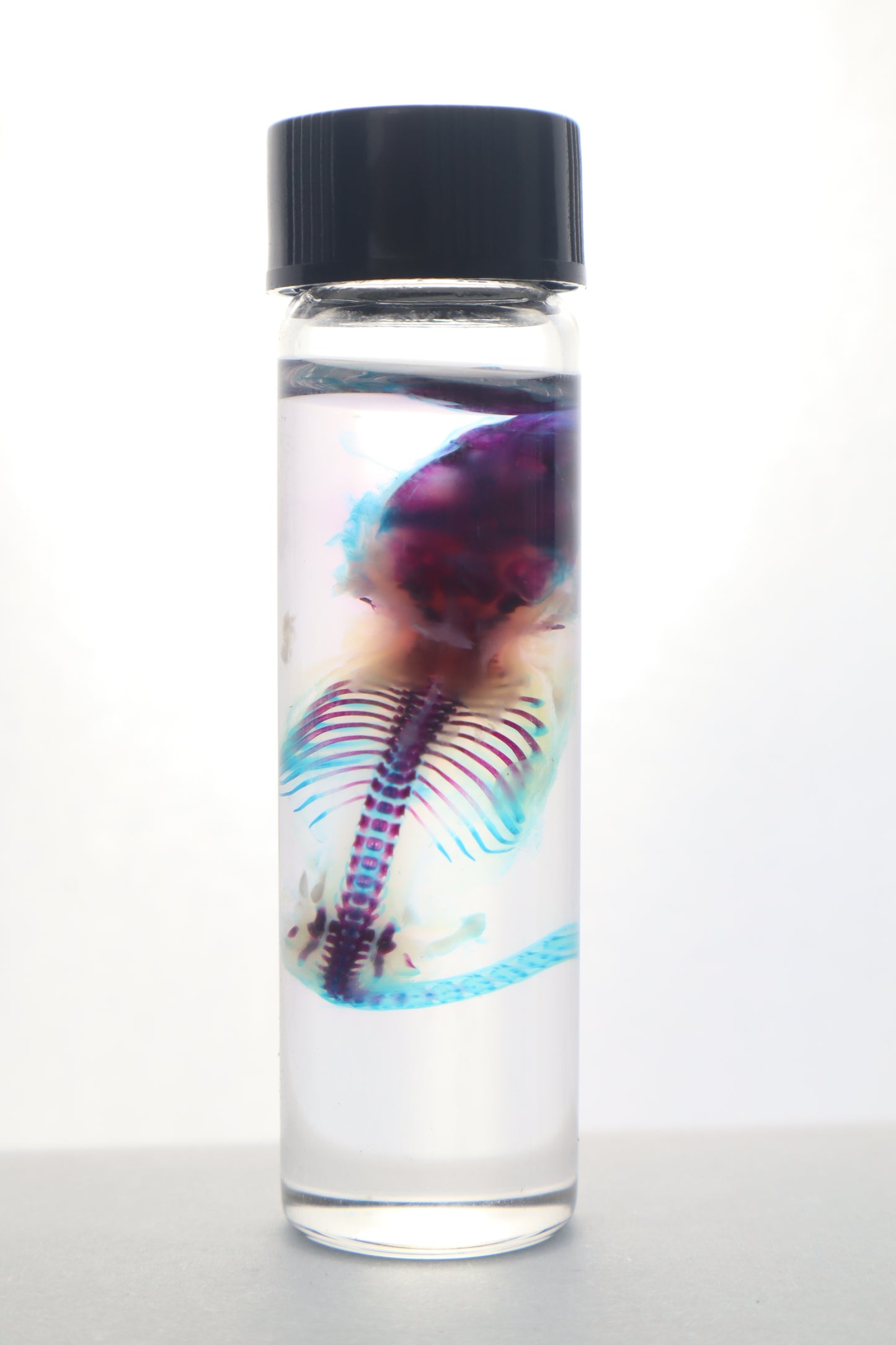 Diaphonized Baby Mouse Serpent