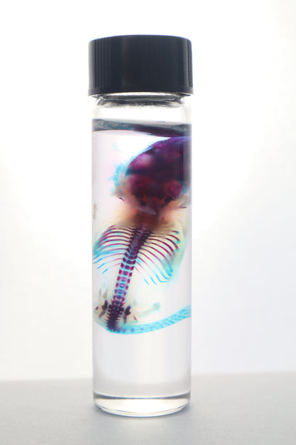 Diaphonized Baby Mouse Serpent