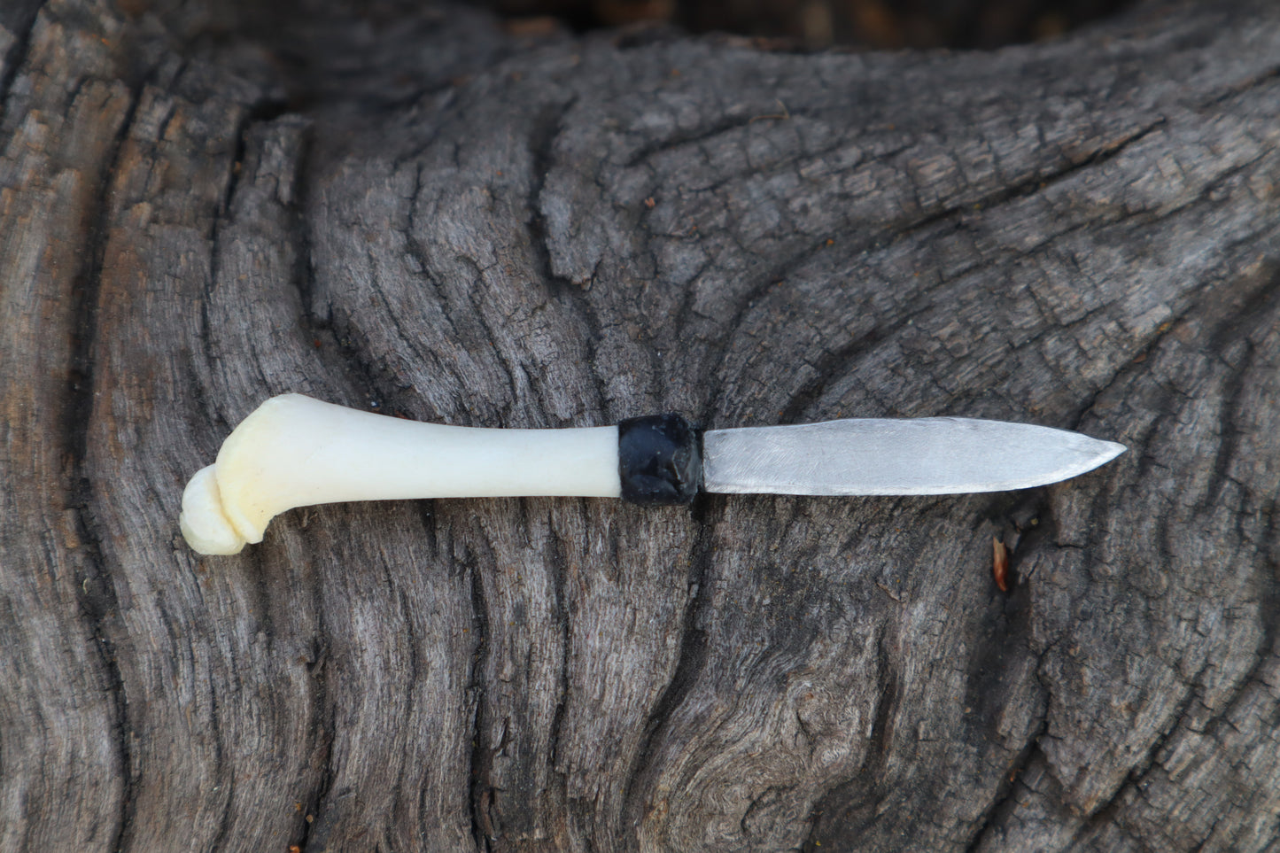 Kitten Femur Knife