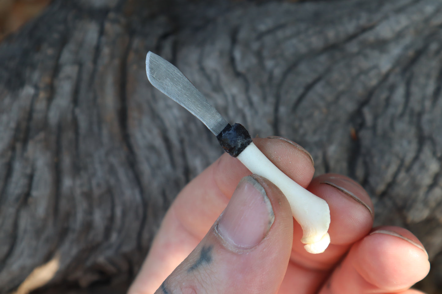 Kitten Femur Knife
