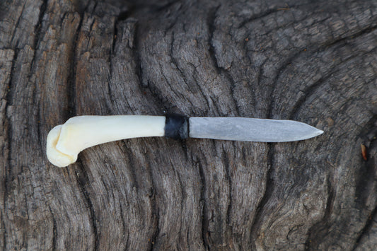 Kitten Humerus Knife