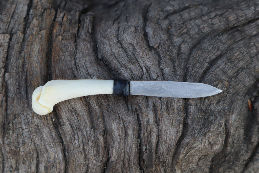 Kitten Humerus Knife