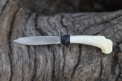 Kitten Humerus Knife