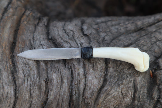 Kitten Humerus Knife