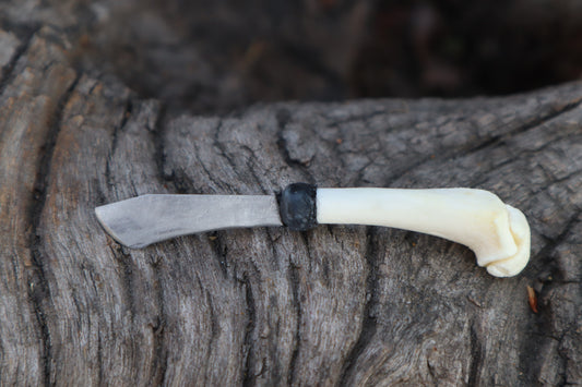 Kitten Humerus Knife