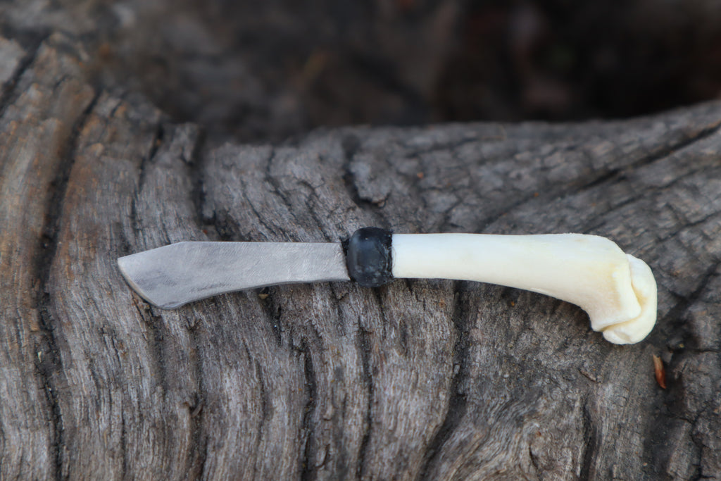 Kitten Humerus Knife