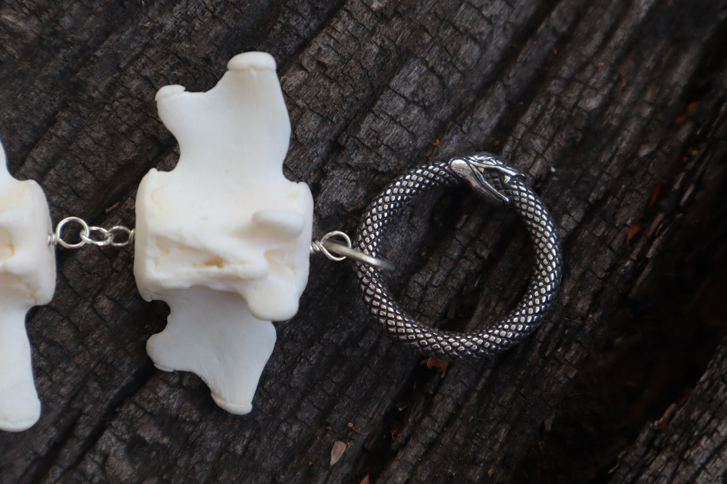 Fluid Beaver Tail Articulation with Ouroboros Ring
