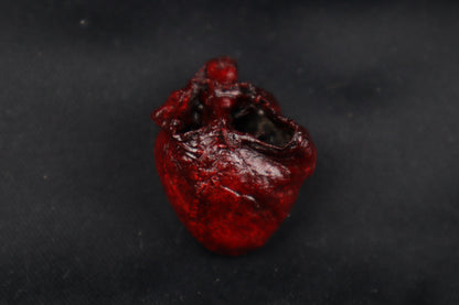 Dry Preserved Raccoon Heart