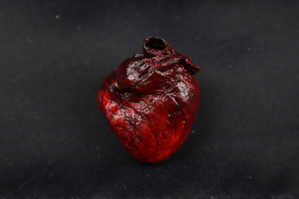 Dry Preserved Raccoon Heart