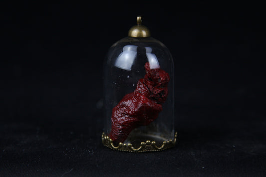 Chicken Heart Dome
