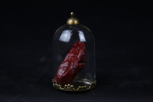 Chicken Heart Dome