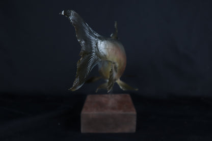 Chinook Salmon Taxidermy