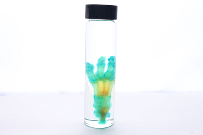 Diaphonized Kitten Paw