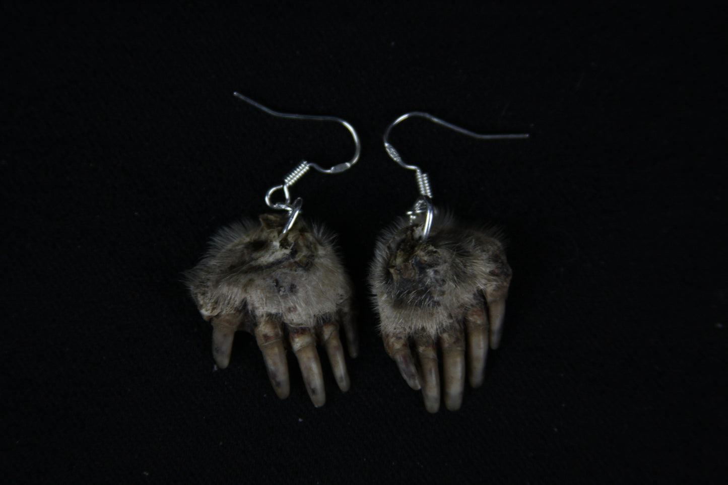 Mole Hand Earrings