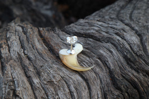 Bobcat Claw Stud Earring - .925 Silver