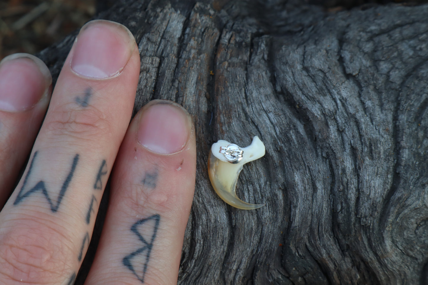 Bobcat Claw Stud Earring - .925 Silver