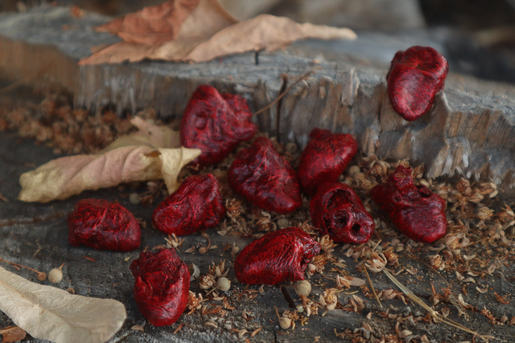 Dry Preserved Chicken Heart