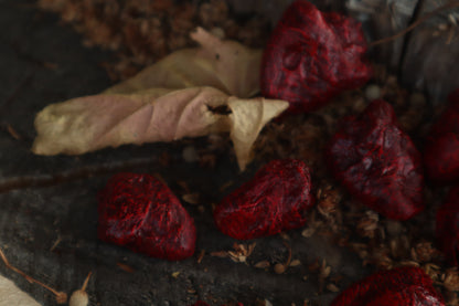 Dry Preserved Chicken Heart